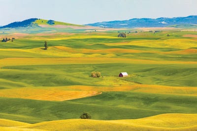 USA, Washington State, Palouse, Colfax. by Emily M Wilson canvas print