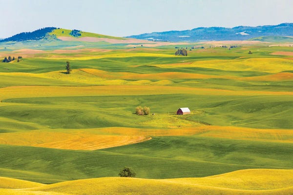 Layered Landscapes: USA, Washington State, Palouse, Colfax. by Emily M Wilson