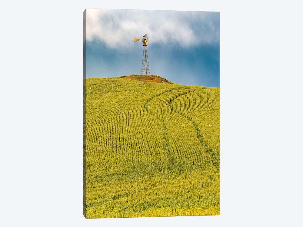 USA, Washington State, Palouse, Colfax. Green Fields Of Wheat Windmills,. Weather Vane. by Emily M Wilson 1-piece Canvas Print