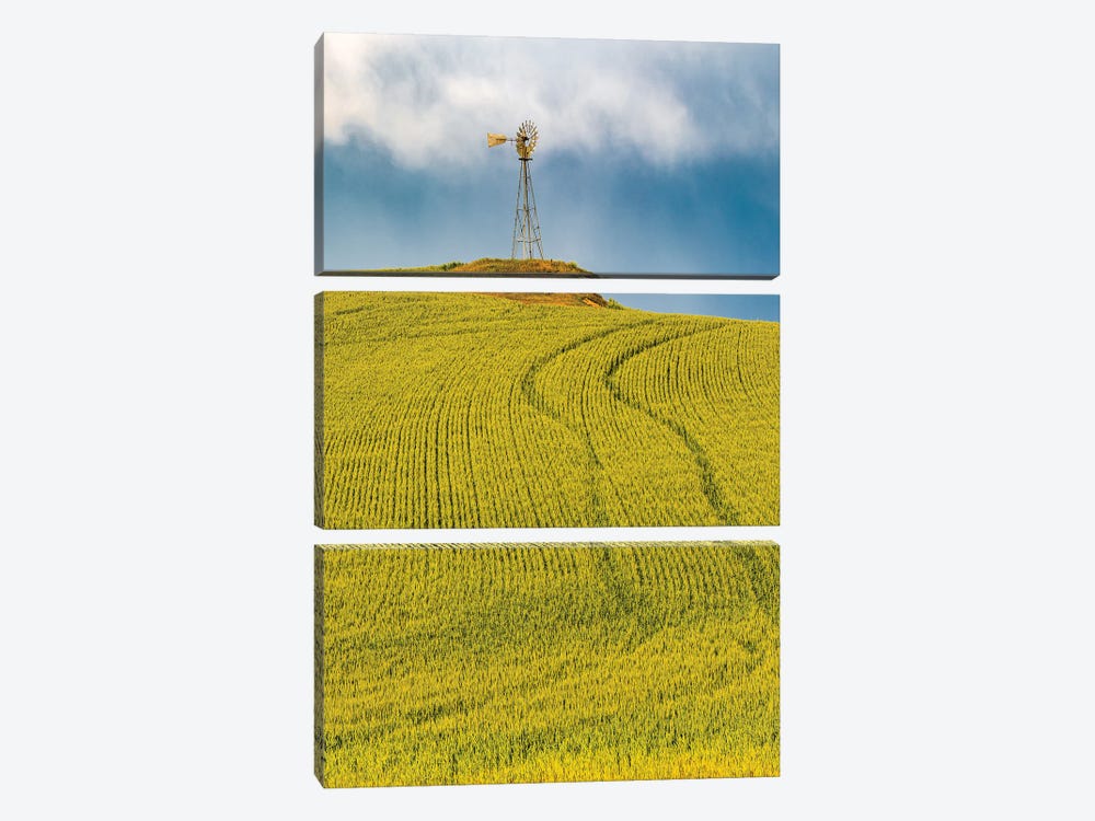 USA, Washington State, Palouse, Colfax. Green Fields Of Wheat Windmills,. Weather Vane. by Emily M Wilson 3-piece Canvas Print