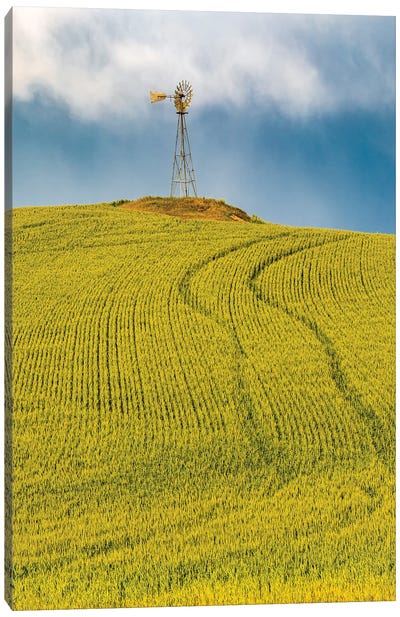 USA, Washington State, Palouse, Colfax. Green Fields Of Wheat Windmills,. Weather Vane. Canvas Art Print
