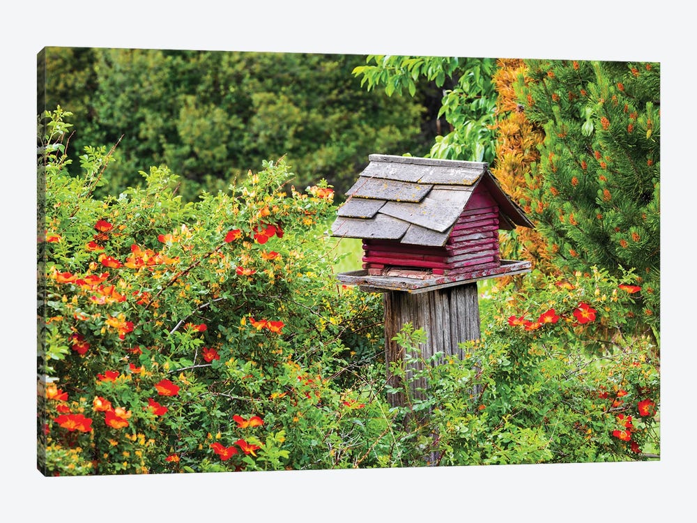 USA, Washington State, Palouse, Colfax. Red Birdhouse Sitting On A Fence. by Emily M Wilson 1-piece Canvas Wall Art