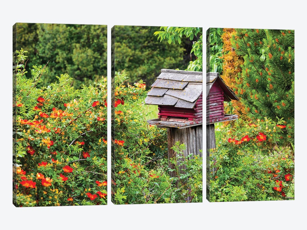 USA, Washington State, Palouse, Colfax. Red Birdhouse Sitting On A Fence. by Emily M Wilson 3-piece Canvas Artwork