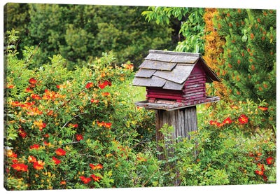 USA, Washington State, Palouse, Colfax. Red Birdhouse Sitting On A Fence. Canvas Art Print