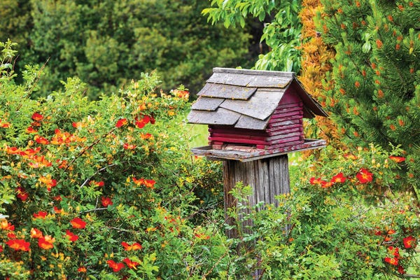 Washington: USA, Washington State, Palouse, Colfax. Red Birdhouse Sitting On A Fence. by Emily M Wilson