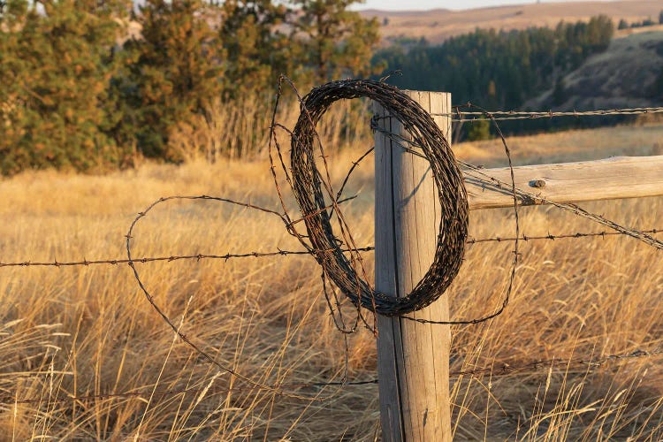 USA, Washington State, Whitman County, Palouse Barbed Wire Fence Posts