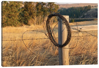 USA, Washington State, Whitman County, Palouse Barbed Wire Fence Posts Canvas Art Print - Washington Art