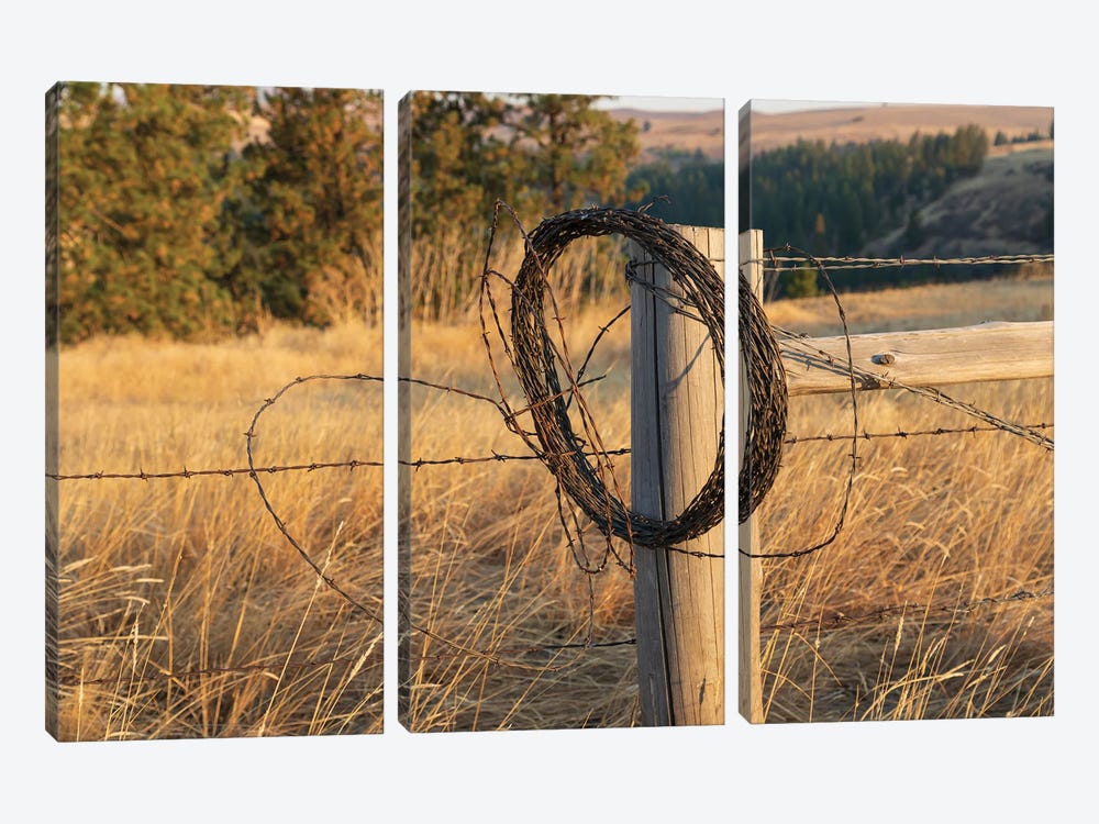 USA, Washington State, Whitman County, Palouse Barbed Wire Fence Posts by Emily M Wilson 3-piece Canvas Wall Art