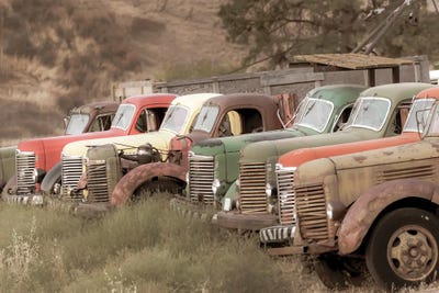 USA, Washington State, Whitman County, Palouse Colfax Old Trucks by Emily M Wilson metal wall art