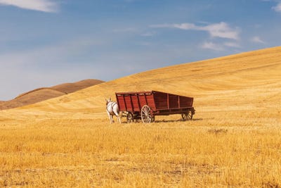 USA, Washington State, Whitman County, Palouse Harvesting Wheat Old Fashioned Threshing Farm Equipment by Emily M Wilson multi panel art