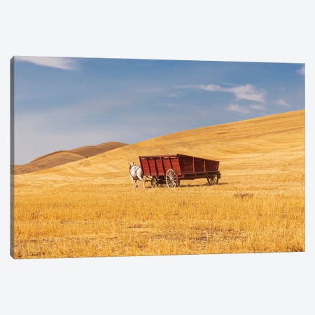 USA, Washington State, Whitman County, Palouse Harvesting Wheat Old Fashioned Threshing Farm Equipment Canvas Print #EMW5} by Emily M Wilson Canvas Print