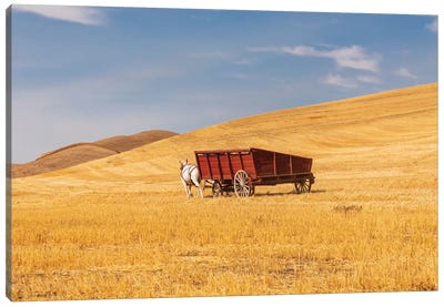 USA, Washington State, Whitman County, Palouse Harvesting Wheat Old Fashioned Threshing Farm Equipment Canvas Art Print
