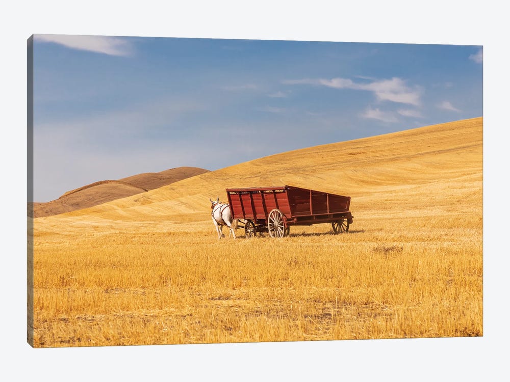 USA, Washington State, Whitman County, Palouse Harvesting Wheat Old Fashioned Threshing Farm Equipment by Emily M Wilson 1-piece Canvas Artwork