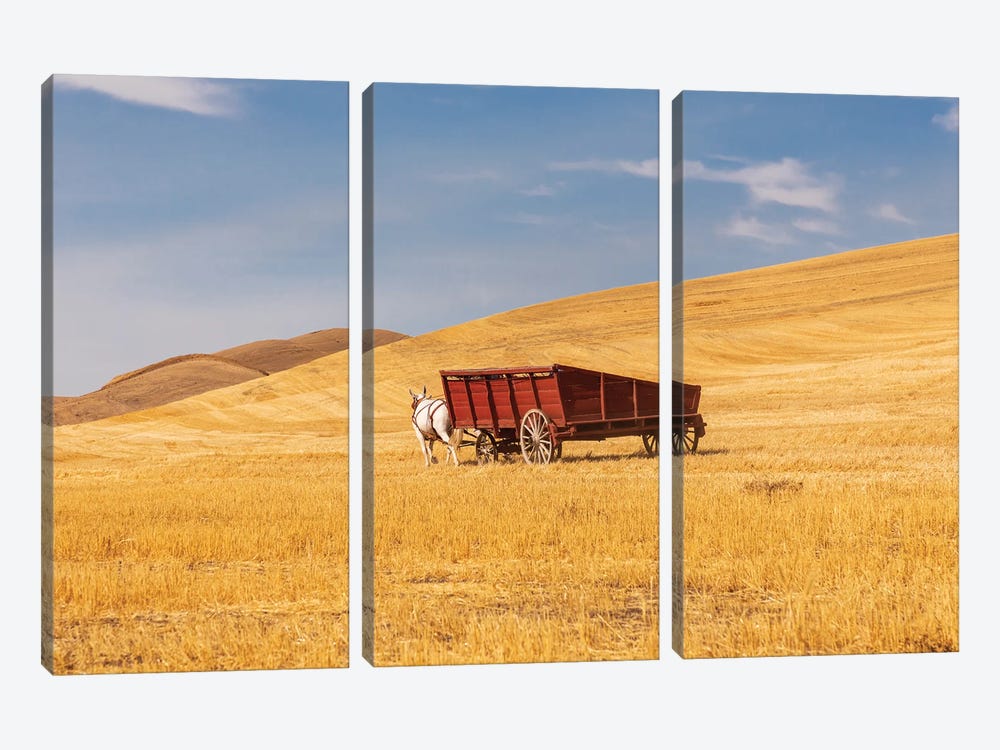 USA, Washington State, Whitman County, Palouse Harvesting Wheat Old Fashioned Threshing Farm Equipment by Emily M Wilson 3-piece Canvas Art