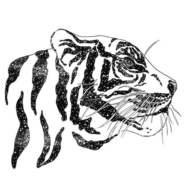 Embellished Animals: Brightly Burning by Ella Mazur