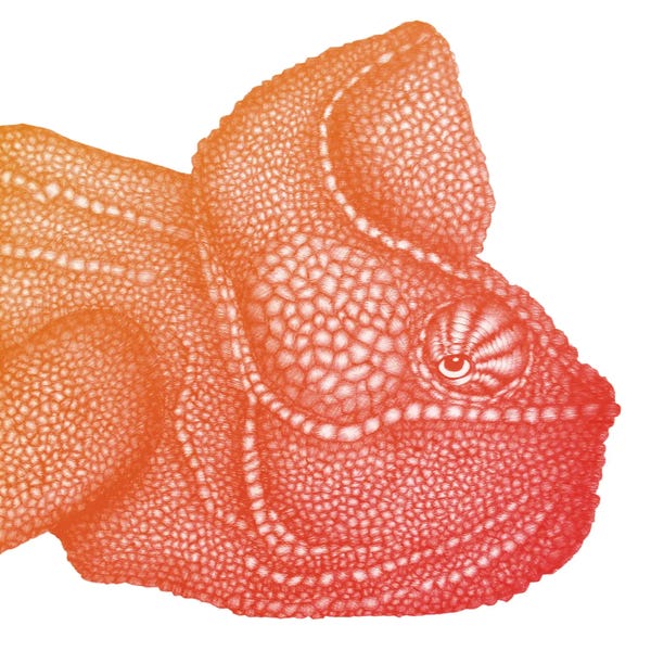 Embellished Animals: Ombre Chameleon by Ella Mazur