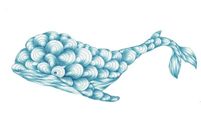 Turquoise Whale by Ella Mazur framed wall art