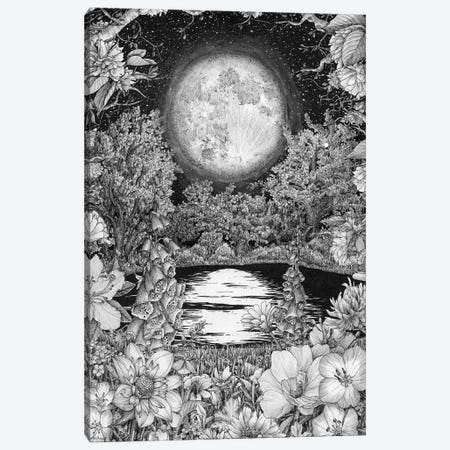 Moon Garden Reflections Canvas Print #EMZ111} by Ella Mazur Canvas Wall Art