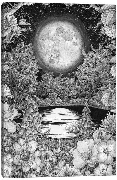 Moon Garden Reflections Canvas Art Print - Ella Mazur