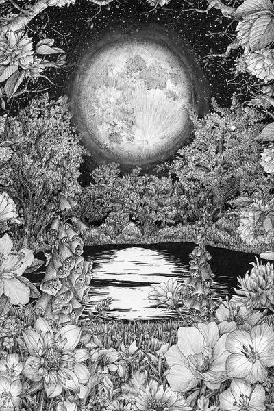 Black & White Florals: Moon Garden Reflections by Ella Mazur