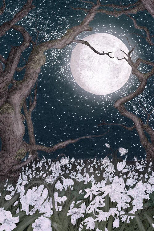 Snowdrops In The Moonlight by Ella Mazur wall art