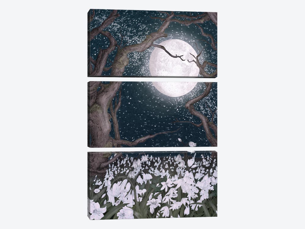 Snowdrops In The Moonlight by Ella Mazur 3-piece Canvas Art Print