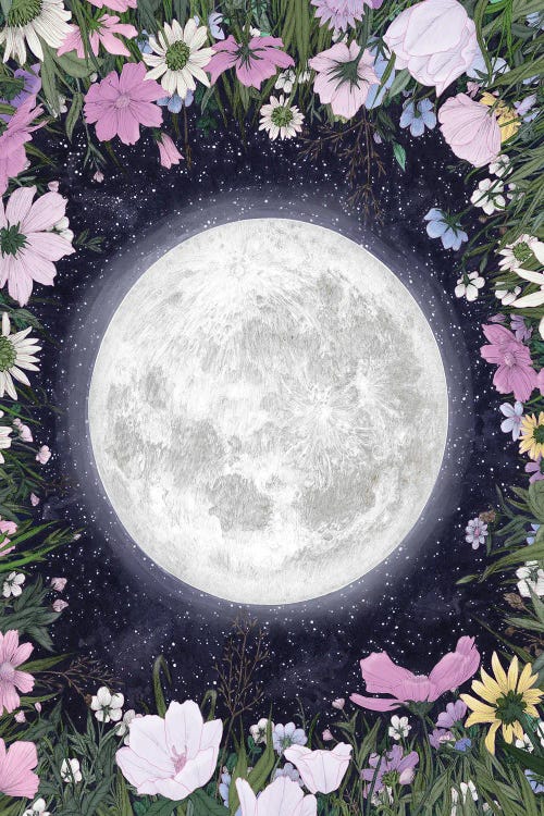 Moon Magic In The Meadow by Ella Mazur wall art