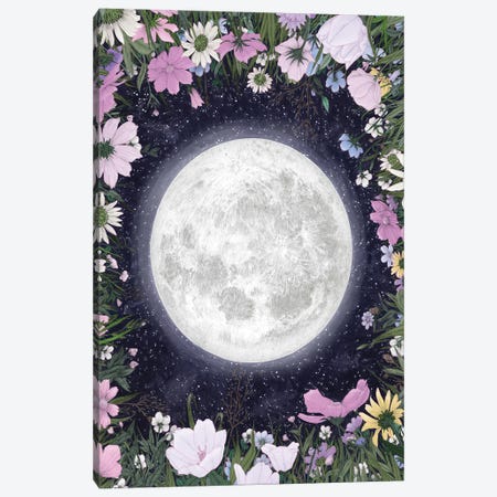 Moon Magic In The Meadow Canvas Print #EMZ118} by Ella Mazur Canvas Artwork