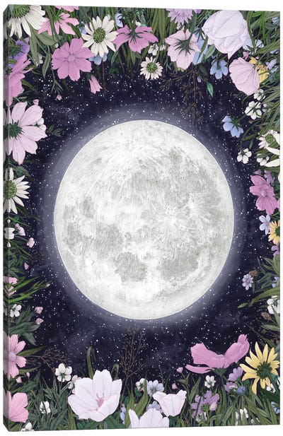 Moon Magic In The Meadow Canvas Art Print - Ella Mazur