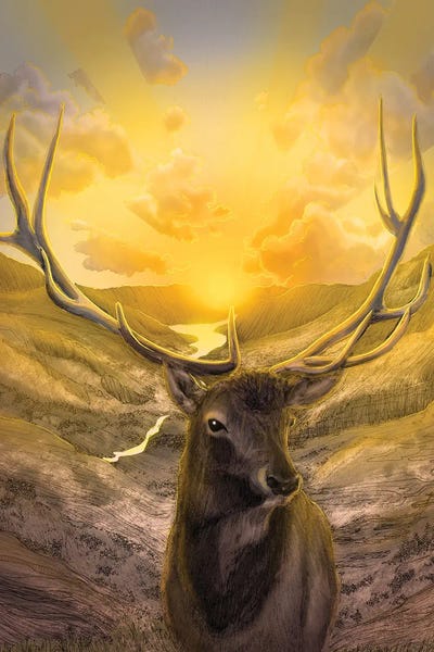 Golden Hour Animals: Rise With The Sun by Ella Mazur