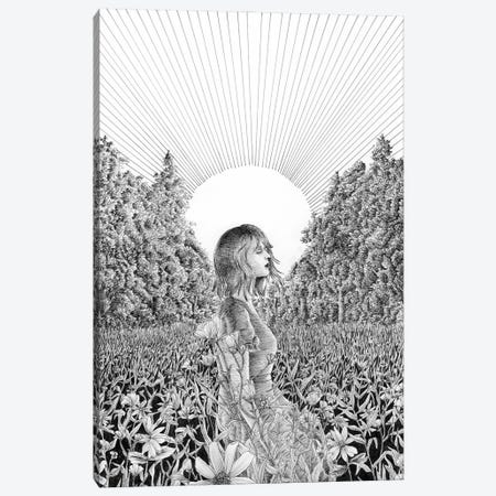 The Meadow At Dawn Canvas Print #EMZ13} by Ella Mazur Canvas Print