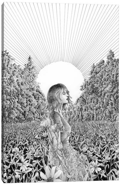 The Meadow At Dawn Canvas Art Print - Ella Mazur