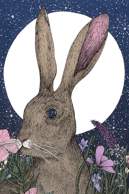 Hare And Moon by Ella Mazur wall art
