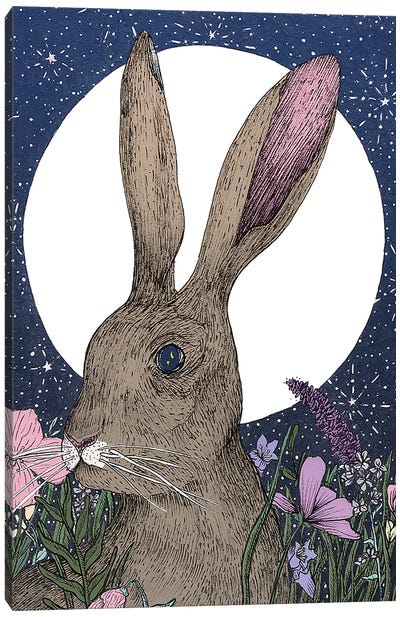 Hare And Moon Canvas Art Print - Ella Mazur