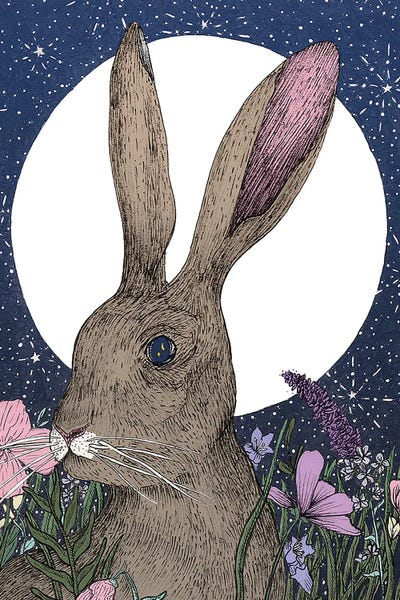 Wildflowers: Hare And Moon by Ella Mazur