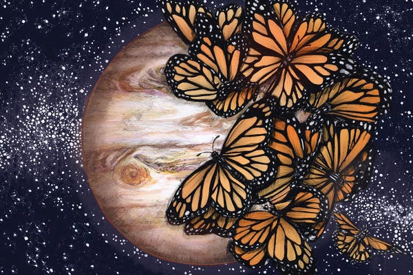 Monarch Butterflies: Jupiter's Butterflies Colour Version by Ella Mazur