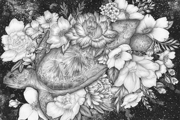 Black & White Florals: Magic Ocean Sea Turtle by Ella Mazur
