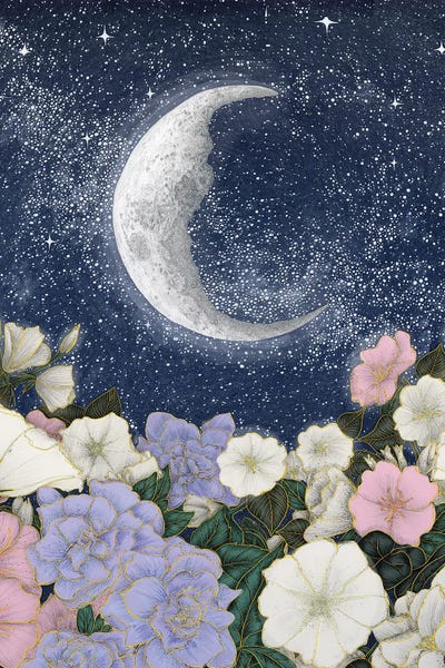 Nature Renewal: Moonlight In The Garden Colour Version by Ella Mazur