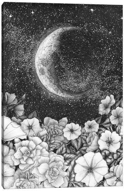 Moonlight In The Garden Canvas Art Print - Ella Mazur