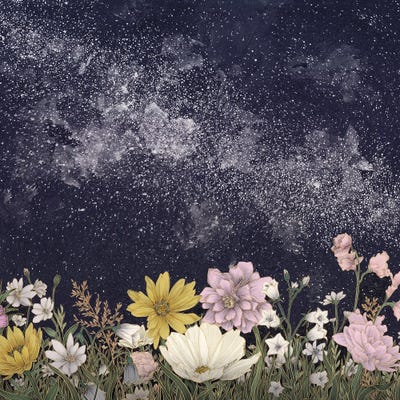 Galaxy In Bloom Colour Version by Ella Mazur framed wall art