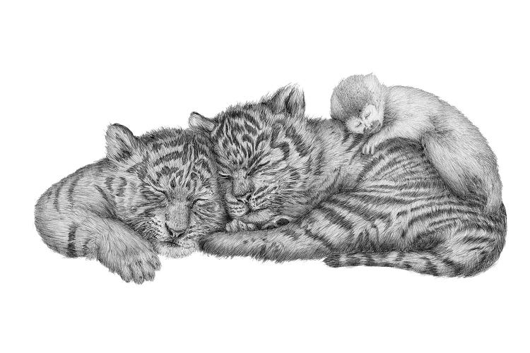 Tiger Naps by Ella Mazur wall art