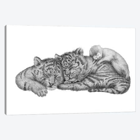 Tiger Naps Canvas Print #EMZ48} by Ella Mazur Canvas Art