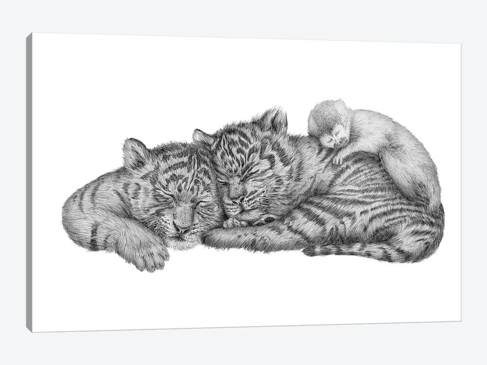 Tiger Naps by Ella Mazur 1-piece Canvas Art