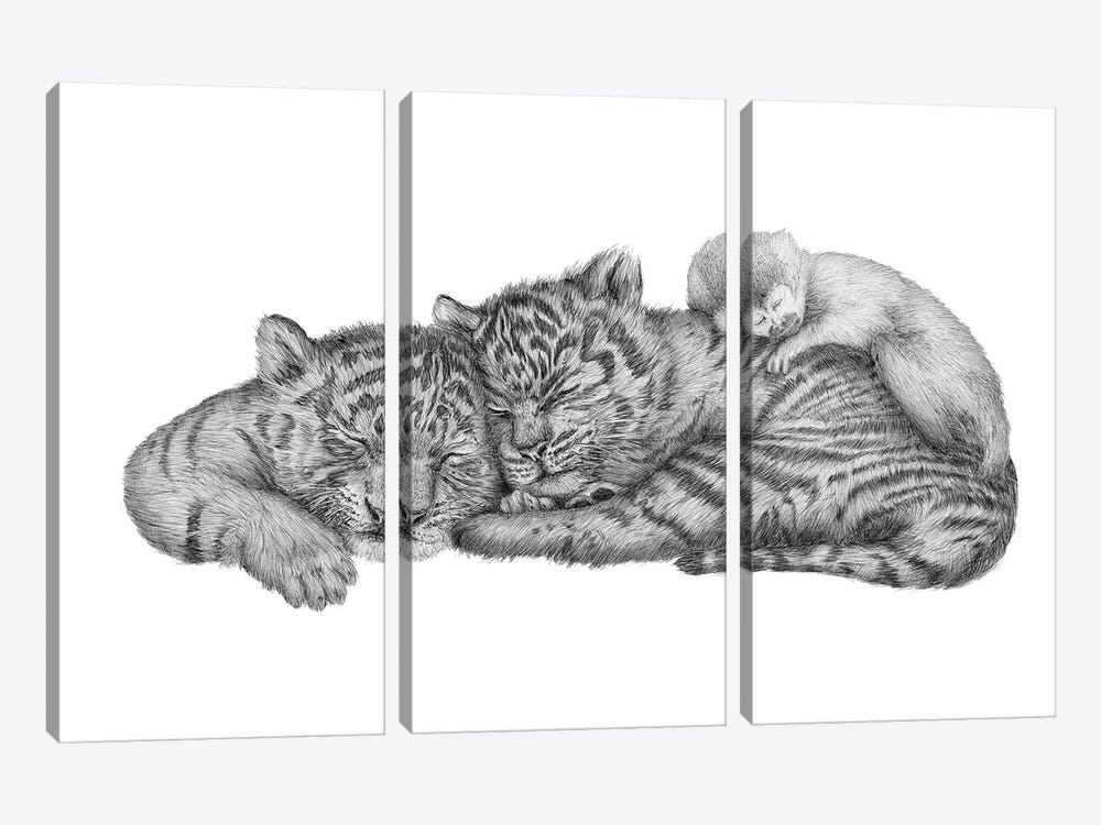 Tiger Naps by Ella Mazur 3-piece Canvas Art