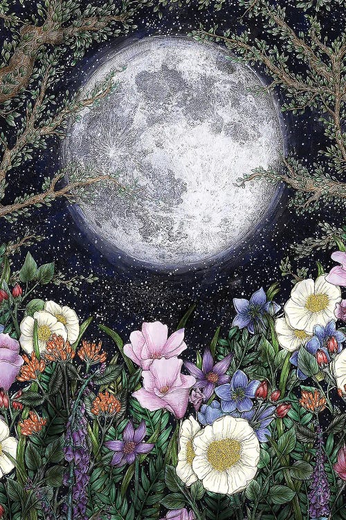 Midnight In The Garden Color Version by Ella Mazur wall art