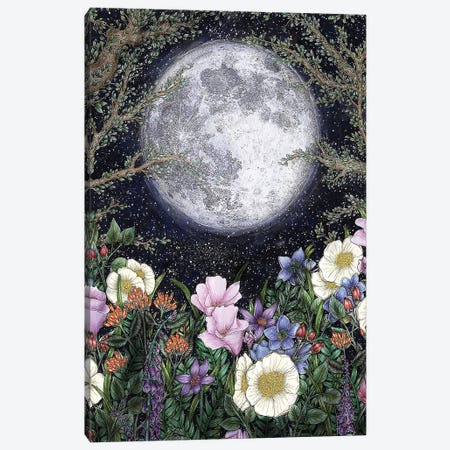 Midnight In The Garden Color Version Canvas Print #EMZ49} by Ella Mazur Canvas Artwork