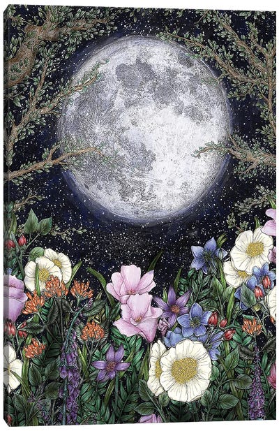 Midnight In The Garden Color Version Canvas Art Print - Ella Mazur