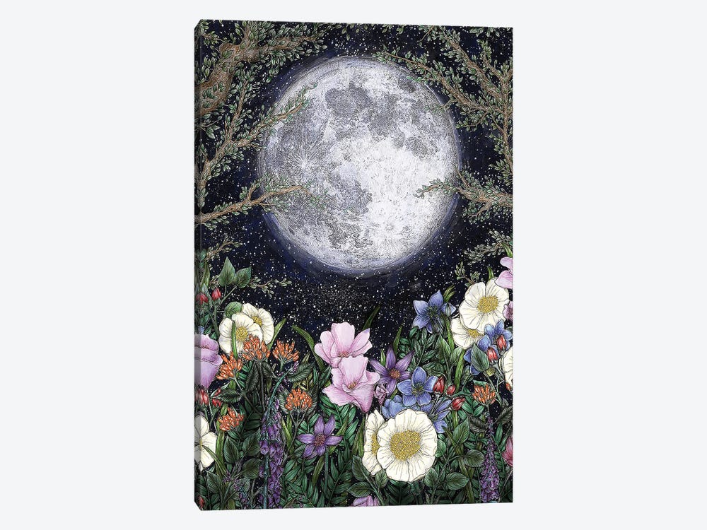 Midnight In The Garden Color Version by Ella Mazur 1-piece Canvas Art Print