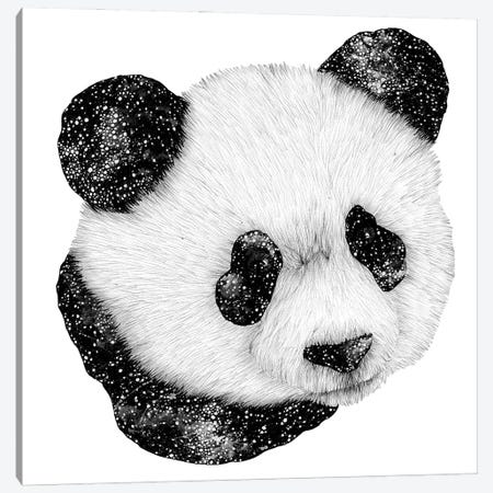 Cosmic Panda Canvas Print #EMZ53} by Ella Mazur Art Print