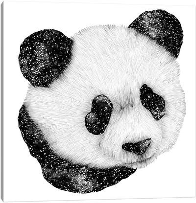 Cosmic Panda Canvas Art Print - Embellished Animals